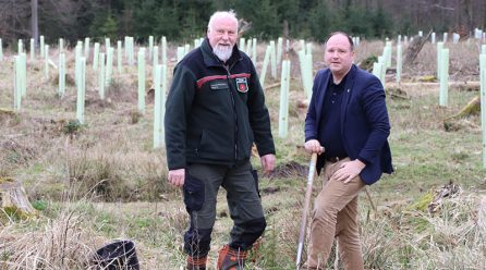 Aufforstung: 200.000 Bäume für den Stadtforst Blomberg