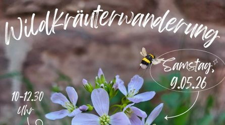 Das Geheimnis des wilden Krauts – Wanderung für Familien