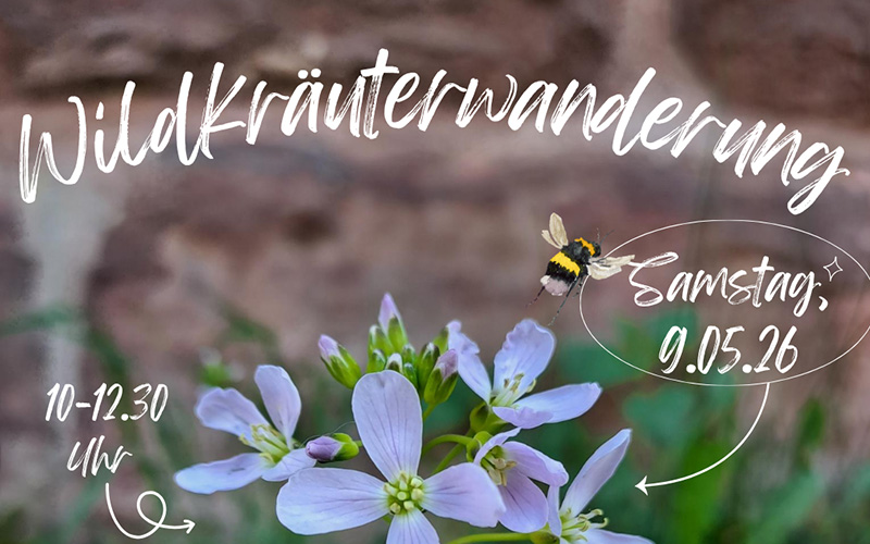 Das Geheimnis des wilden Krauts – Wanderung für Familien