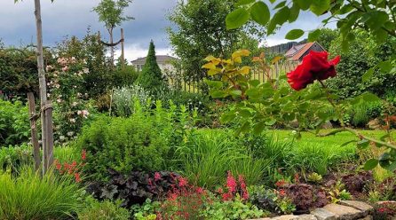 Offener Garten bei Familie Zylstra in Hestrup